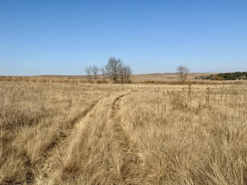 0 Bedroom Property for Sale in Harrismith Free State